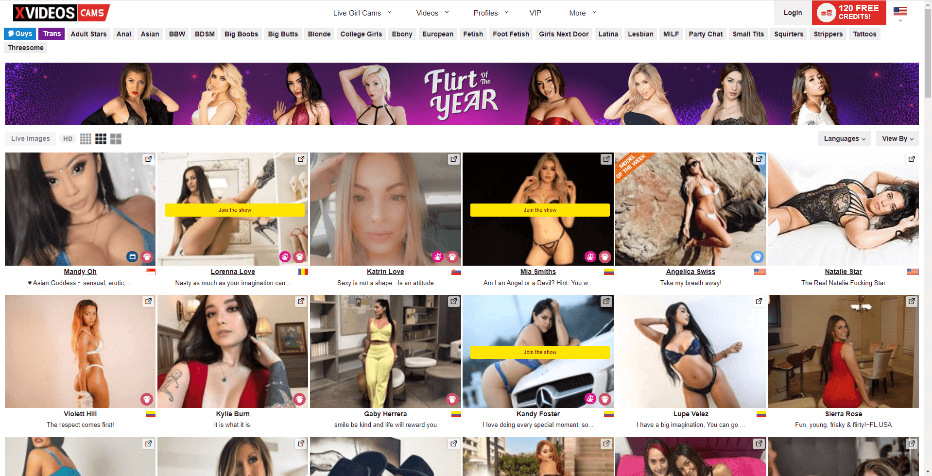 Desktop screenshot of XVIDEOS - Cam site homepage